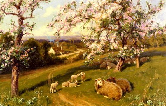 Photo of "SPRING LAMBS" by A.W. REDGATE