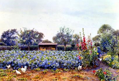 Photo of "THE CABBAGE PATCH" by ERNEST ARTHUR ROWE