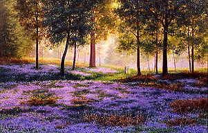 Photo of "THE BLUEBELL WOOD" by P.F. ROBINET