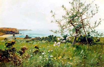 Photo of "BLOSSOM ON THE CLIFFS" by A.W. REDGATE