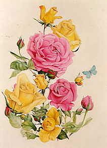 Photo of "PINK AND YELLOW ROSES" by EDWARD JULIUS (COPYRIGHT DETMOLD