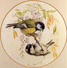 Photo of "BLUE TITS ON A BRANCH OF WISTERIA" by EDWARD JULIUS (COPYRIGHT DETMOLD