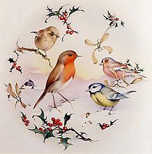 Photo of "WINTER BIRDS WITH HOLLY AND MISTLETOE" by EDWARD JULIUS (COPYRIGHT DETMOLD