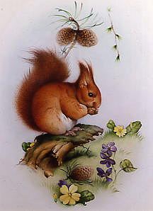 Photo of "RED SQUIRREL WITH PRIMOSES AND VIOLETS" by EDWARD JULIUS (COPYRIGHT DETMOLD