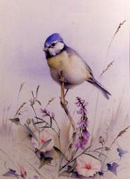 Photo of "STUDY OF A BLUETIT AND WILD FLOWERS" by EDWARD JULIUS (COPYRIGHT DETMOLD