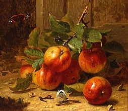 Photo of "STILL LIFE OF BUTTERFLIES AND APPLES, 1886" by ELOISE HARRIET STANNARD