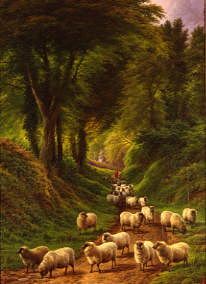 Photo of "SHEEP ON A SHADY TRACK" by CHARLES JONES