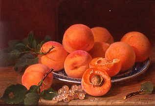 Photo of "STILL LIFE OF APRICOTS" by ELOISE HARRIET STANNARD