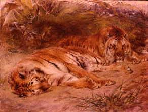 Photo of "THE TIGERS' LAIR" by WILLIAM HUGGINS