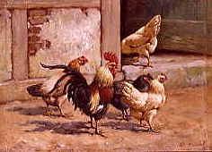 Photo of "CHICKENS" by WILLIAM BAPTISTE BAIRD