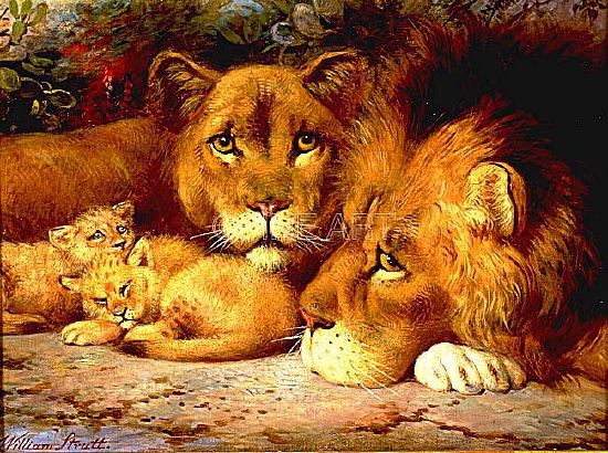 Photo of "A ROYAL FAMILY OF LIONS" by WILLIAM STRUTT
