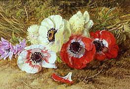 Photo of "ANEMONES, 1883" by ANNIE FERAY MUTRIE
