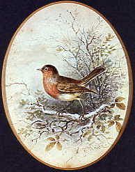 Photo of "THE ROBIN" by C. WHITE