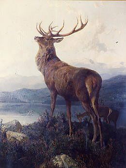 Photo of "MONARCH OF THE GLEN" by CHARLES BURTON BARBER