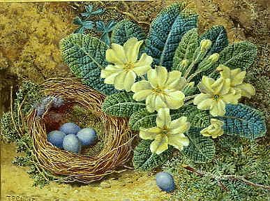 Photo of "STILL LIFE WITH BIRDS' NEST." by THOMAS FREDERICK COLLIER