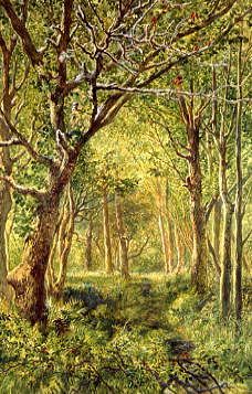 Photo of "A CLEARING IN THE WOODS." by THOMAS BOLTON GILCHRIST DALZIEL
