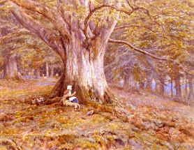 Photo of "THE OLD BEECH TREE." by HELEN ALLINGHAM