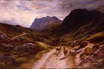 Photo of "ROAD TO LOCH MAREE, HIGHLANDS OF SCOTLAND, UNITED KINGDOM" by JOSEPH FARQUHARSON