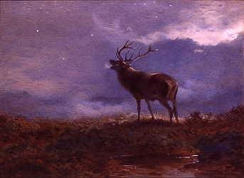 Photo of "STAG ROARING" by ARCHIBALD THORBURN
