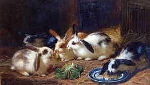 Photo of "THE RABBITS FEAST" by HENRY GARLAND