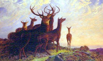 Photo of "STAGS AND HINDS AT SUNSET" by FRIEDRICH WILHELM KEYL