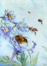 Photo of "THE QUEEN BEE" by EDWARD JULIUS DETMOLD