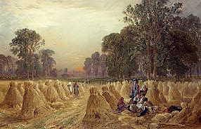 Photo of "A CORNFIELD, 1870" by GEORGE SHEFFIELD