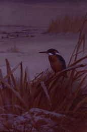 Photo of "A KINGFISHER IN A WINTER LANDSCAPE" by ARCHIBALD THORBURN