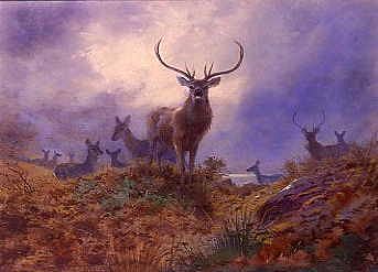 Photo of "THE LAST CHANCE BEFORE DARK ,1904" by ARCHIBALD THORBURN