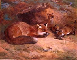 Photo of "FOXES" by ARCHIBALD THORBURN