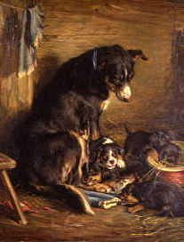 Photo of "A COLLIE AND PUPPIES" by ROBERT ALEXANDER