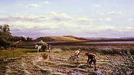 Photo of "GATHERING IN THE REEDS" by DAVID FARQUHARSON