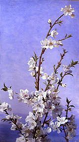 Photo of "BLOSSOM" by SOPHIE ANDERSON