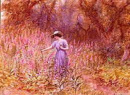 Photo of "FOXGLOVES" by FREDERICK J. KNOWLES