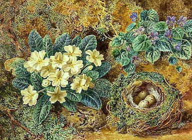 Photo of "STILL LIFE OF BIRDS NEST AND PRIMROSES" by THOMAS F. COLLIER