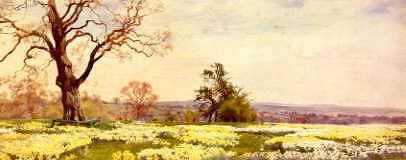 Photo of "A BANK OF DAFFODILS" by ALFRED WILLIAM PARSONS