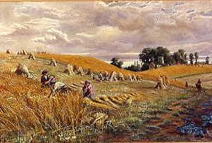 Photo of "HARVESTERS IN A CORNFIELD NEAR A CHURCH." by JOSEPH CHARLES REED
