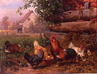 Photo of "POULTRY FEEDING NEAR A FARMHOUSE" by CARL JUTZ