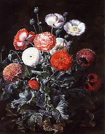 Photo of "EXOTIC POPPIES" by JOHAN LAURENTZ JENSEN