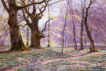 Photo of "A BEECHWOOD IN SPRING, 1907" by JOHANNES BOESEN
