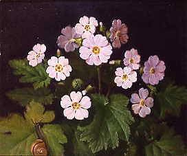 Photo of "A STILL LIFE OF COUNTRY FLOWERS WITH A SNAIL" by JOHAN LAURENTZ JENSEN
