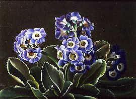 Photo of "A STILL LIFE OF A PRIMULA. 1854" by OTTO DIDERICH OTTESEN