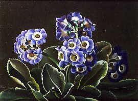 Photo of "A STILL LIFE OF A PRIMULA. 1854" by OTTO DIDERICH OTTESEN