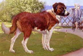 Photo of "A DOG NAMED BARRY, 1879" by THEODOR ESBERN PHILIPSEN