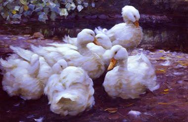 Photo of "DUCKS ON BANK OF RIVER" by ALEXANDER MAX KOESTER