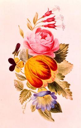 Photo of "FLOWER ILLUSTRATION" by  ANONYMOUS