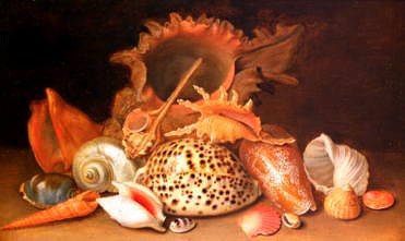 Photo of "A STILL LIFE OF SEA SHELLS" by ANTONIE BERJON