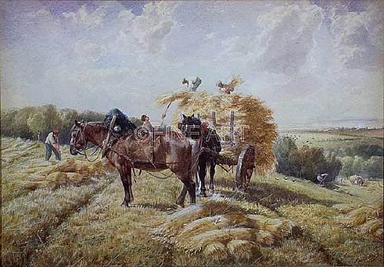 Photo of "HARVESTING IN PICARDY" by RICHARD BEAVIS