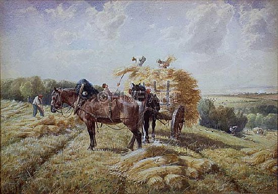 Photo of "HARVESTING IN PICARDY" by RICHARD BEAVIS