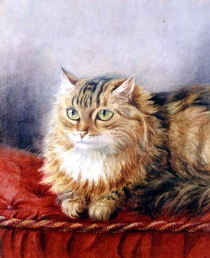 Photo of "CAT ON A RED CUSHION" by LOUIS WILLIAM (COPYRIGH WAIN